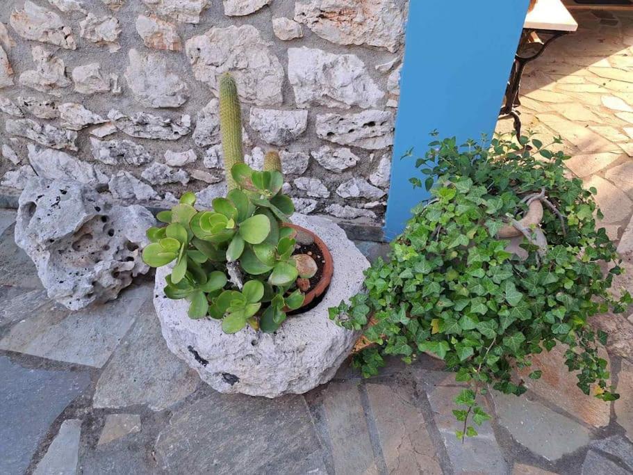 Fragosiko - Rustic Retreat In Kefalonia Argostolion Dış mekan fotoğraf