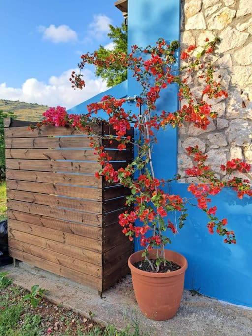 Fragosiko - Rustic Retreat In Kefalonia Argostolion Dış mekan fotoğraf