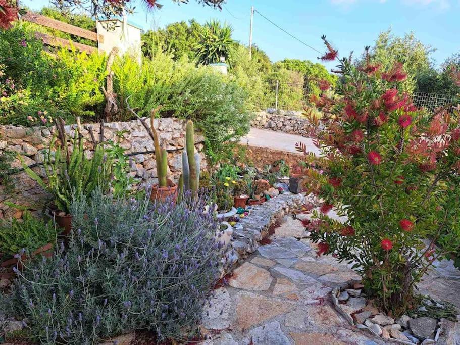 Fragosiko - Rustic Retreat In Kefalonia Argostolion Dış mekan fotoğraf
