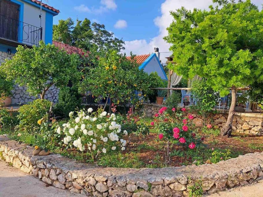 Fragosiko - Rustic Retreat In Kefalonia Argostolion Dış mekan fotoğraf