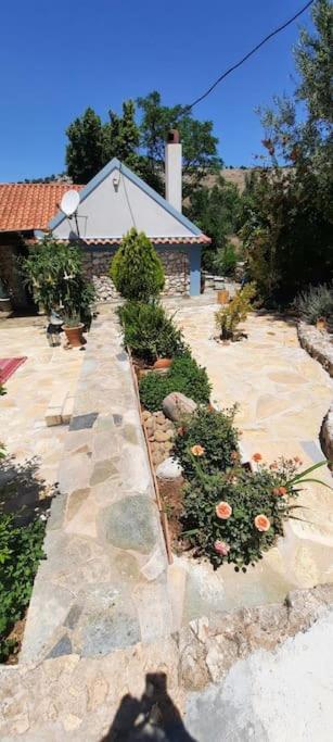 Fragosiko - Rustic Retreat In Kefalonia Argostolion Dış mekan fotoğraf