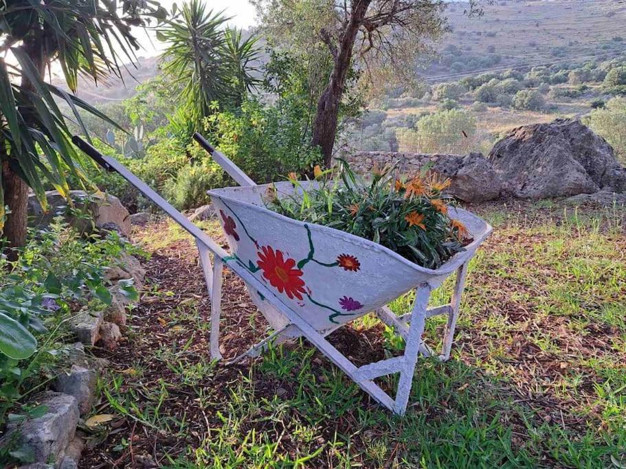 Fragosiko - Rustic Retreat In Kefalonia Argostolion Dış mekan fotoğraf